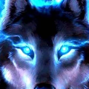 Meet your Posher, Charlene